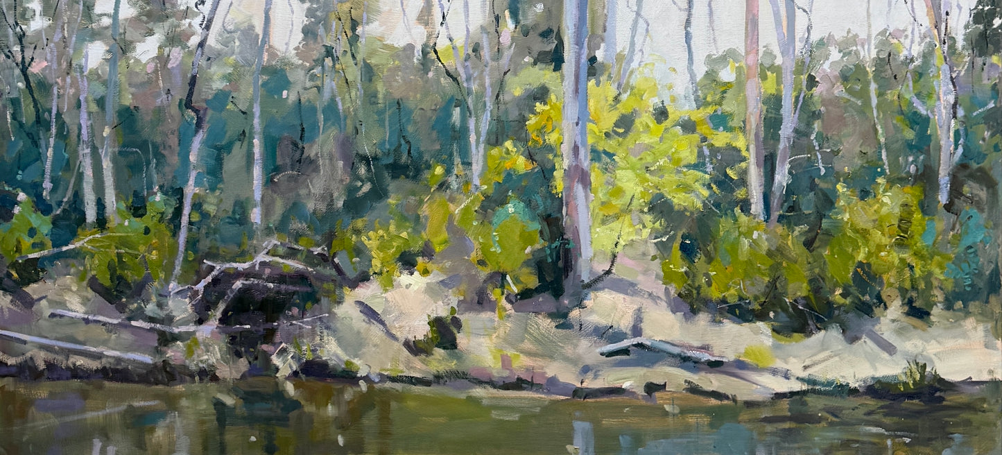 Riverbank (large study) 71 X 152cm oil on canvas