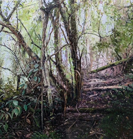 Paddington Art Prize, Sydney : Winner, Honourable Mention Prize
