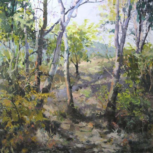 Absence of fenceline 122 X 122cm Oil on linen framed