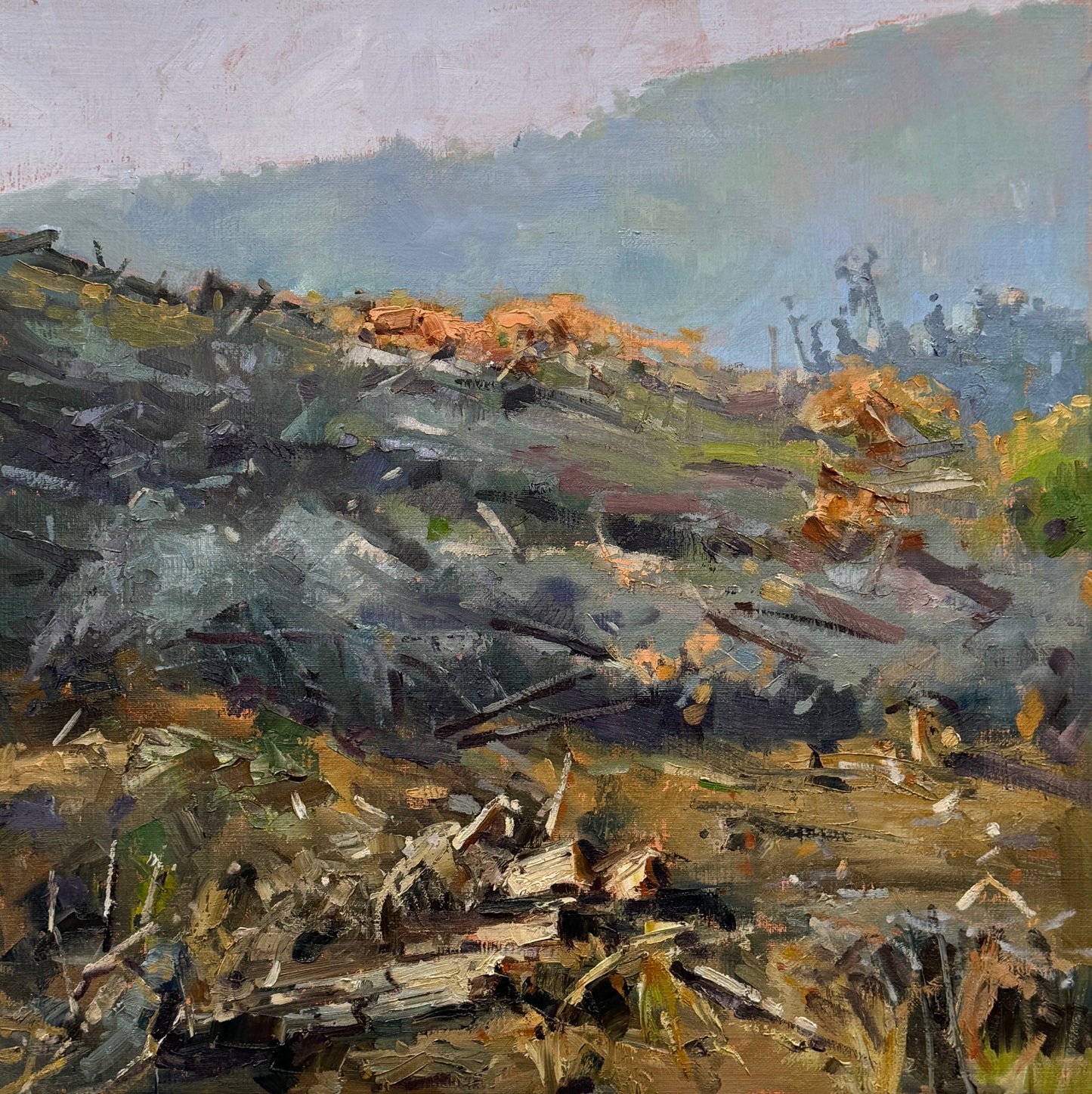 Killing Fields 56cm X 56cm oil on linen