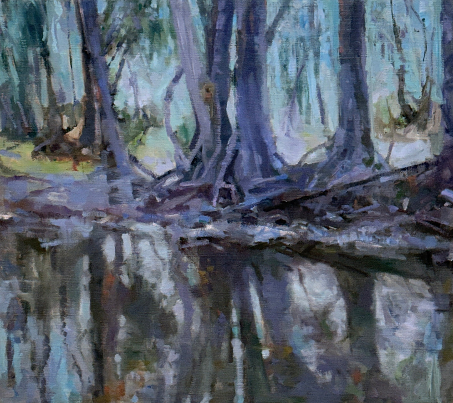 Plein air from Paddington Art Prize (Dungog)5 81 X 91 oil on Jute    Previously $3900